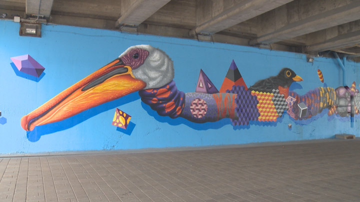 Saskatoon artist Jerry Rugg’s white pelican mural adorns abutment wall on Sid Buckwold Bridge.