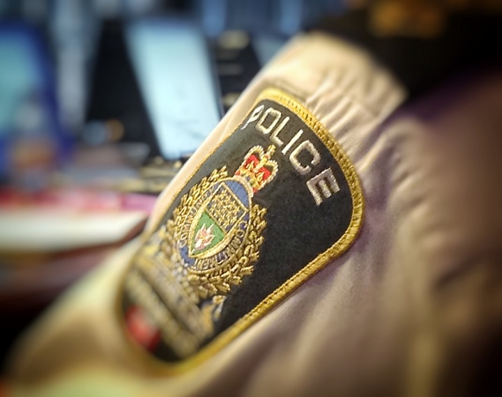 Girl, 11, sexually assaulted after walking dog in St. Vital, Winnipeg  police say - Winnipeg | Globalnews.ca