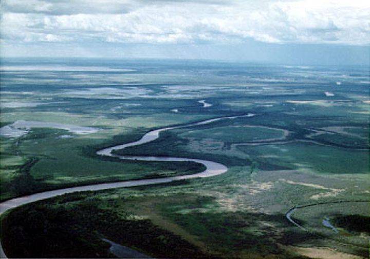 UN body reaffirms threats to Wood Buffalo National Park; calls for action on oilsands - Vimarsana News