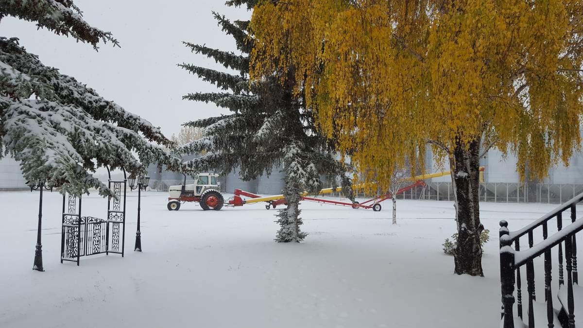 Snow near Saint Gregor.