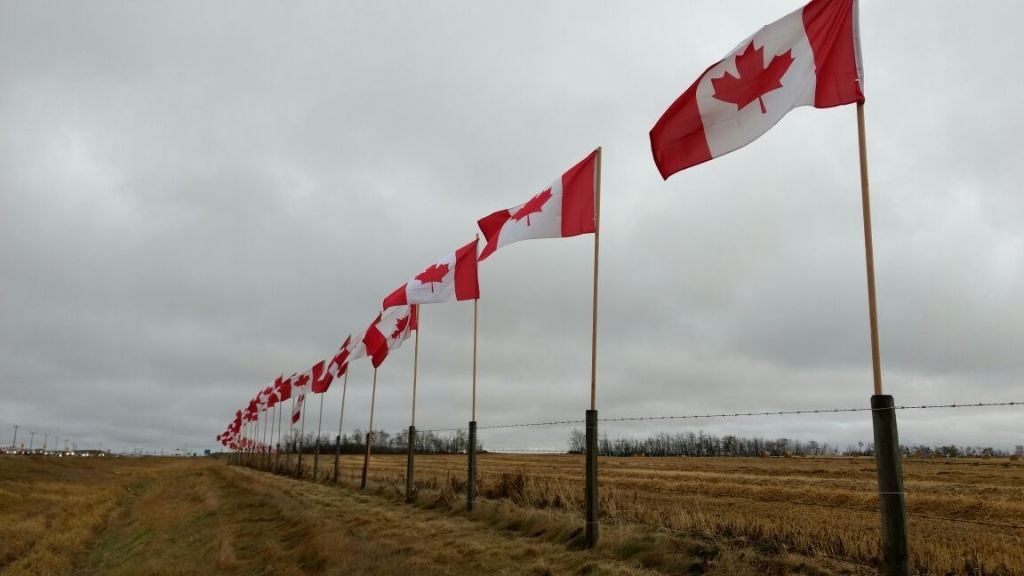 128 flags line Highway 11 near Sylvan Lake to pay tribute to fallen soldiers.