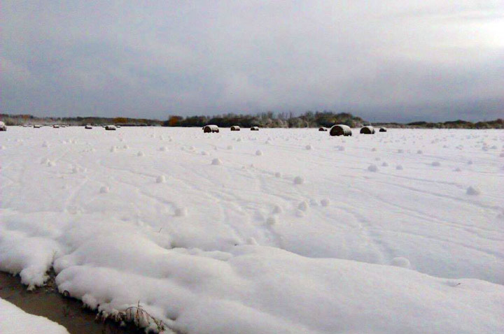 Oct. 7: This Your Saskatchewan photo was taken by Caroline Stewart in Cumberland House.