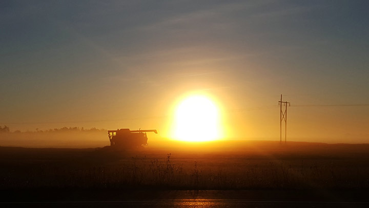 Oct. 26: Kitiara Martens took this Your Saskatchewan photo near Petrofka.