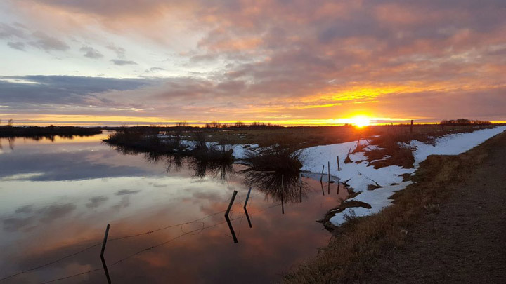 Oct. 27: This Your Saskatchewan photo was taken in Wilkie by Brayden Johnson.