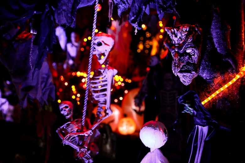 Is this Ottawa’s most spooktacular Halloween house? - image