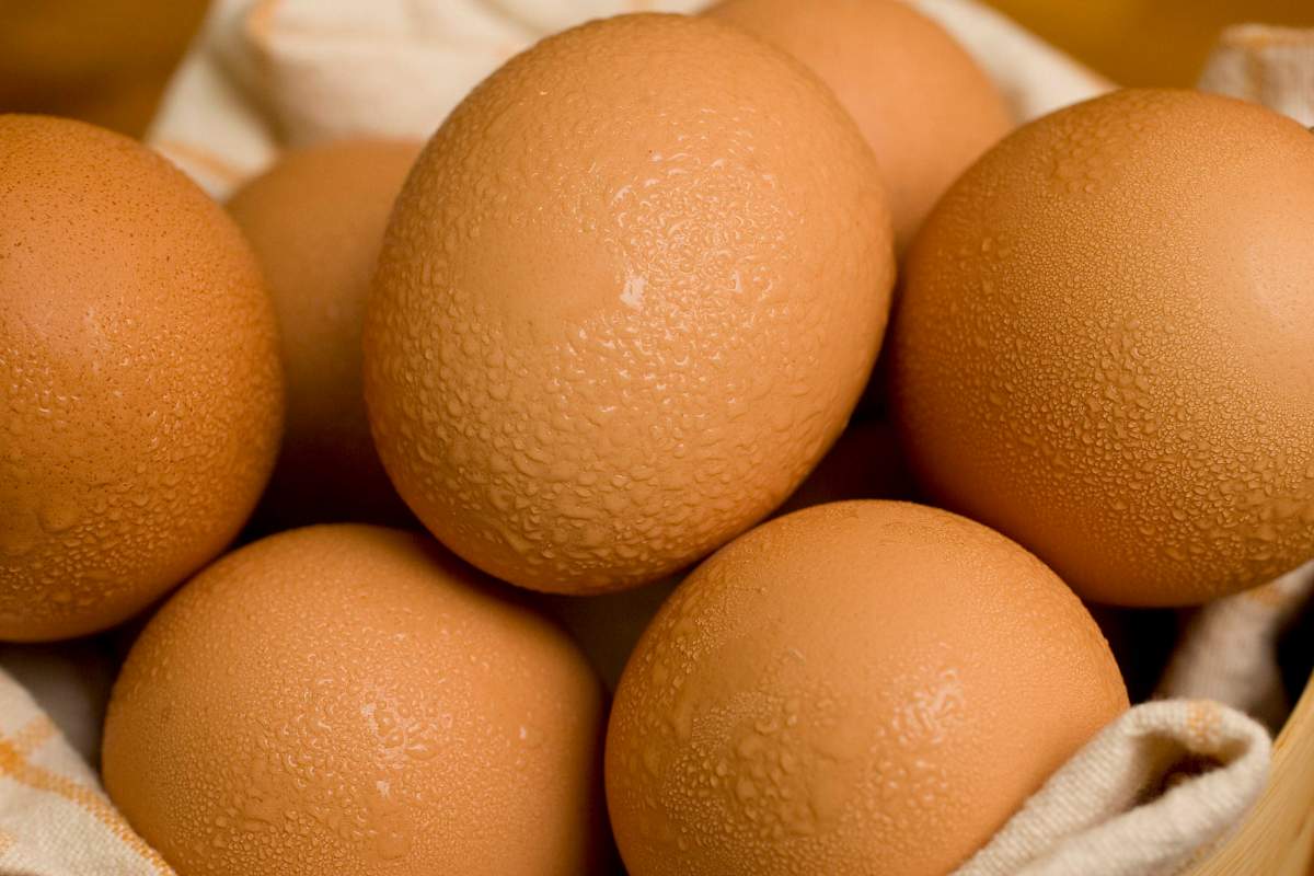 File photo of eggs.