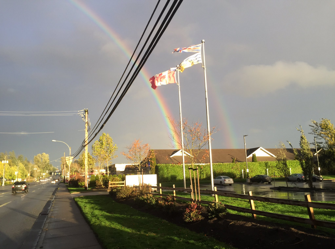 Photo by Alex / Twitter