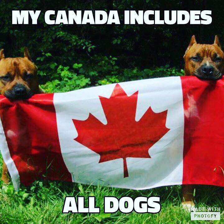 RainCoast Dog Rescue Society posted this on their Facebook page.