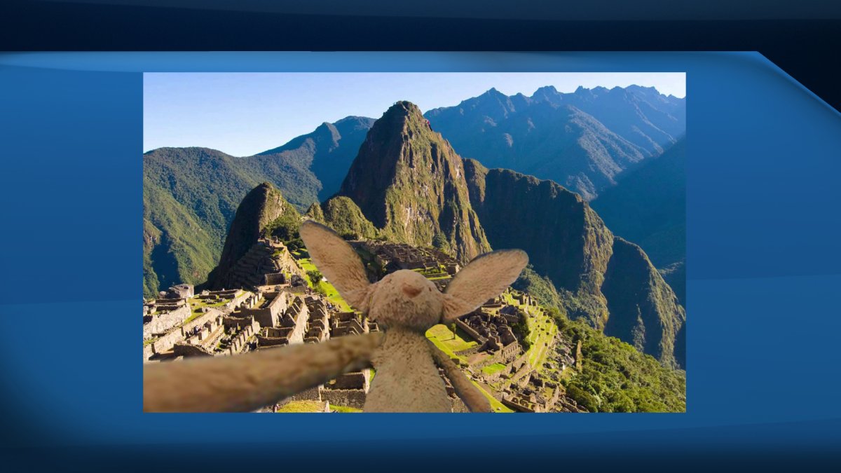 The Rabbit was also in Peru where he took a selfie at the Machu Picchu mountain ridge .