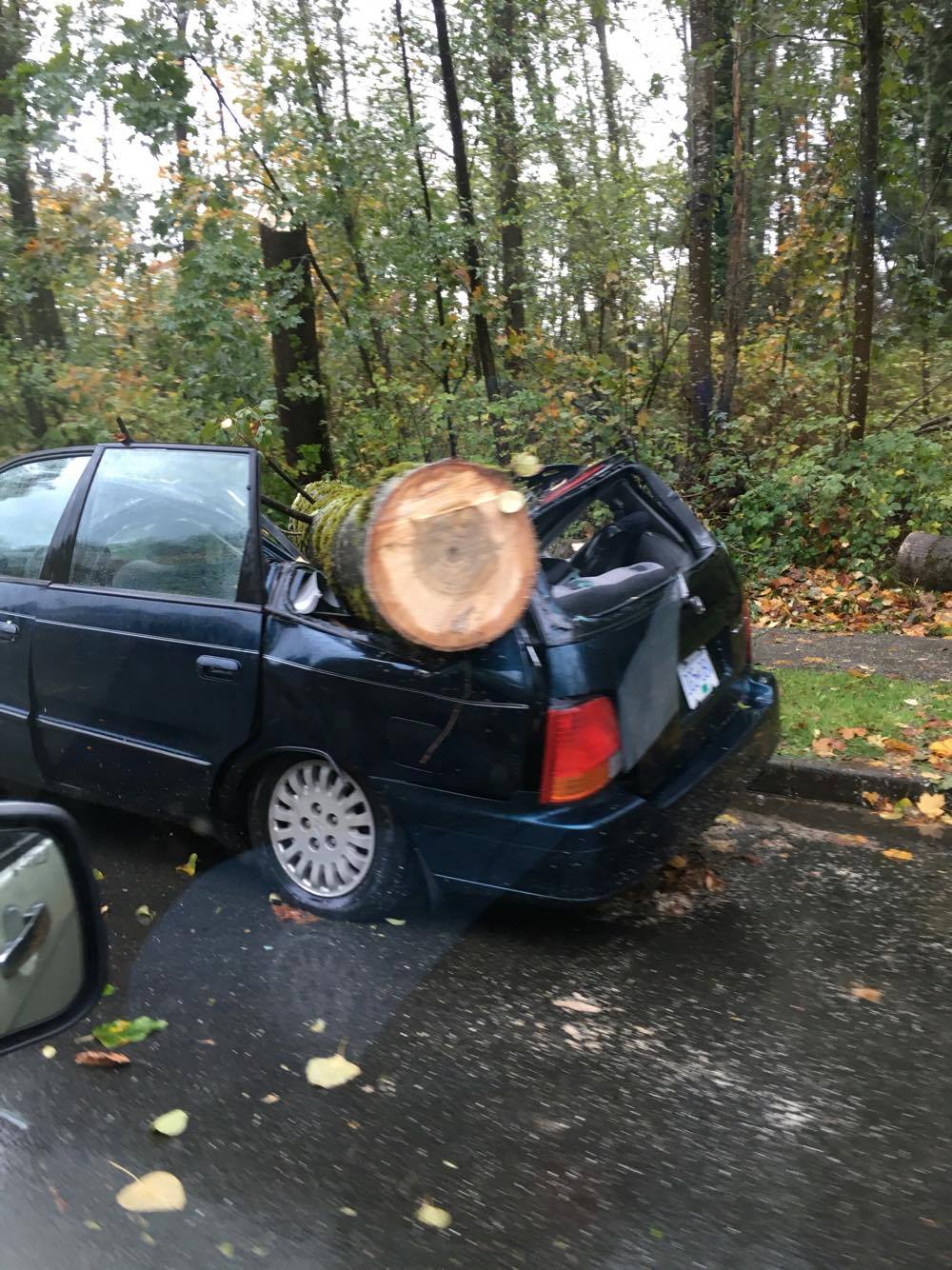 Photo by Jazmine Khan