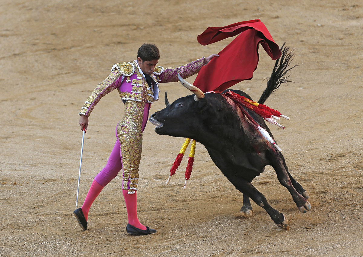  In a Sunday, Oct. 9, 2016 file photo, Spanish bullfighter Mario Palacios performs with an Aguadulce ranch fighting bull during a bullfight at the Las Ventas bullring in Madrid, Spain.  