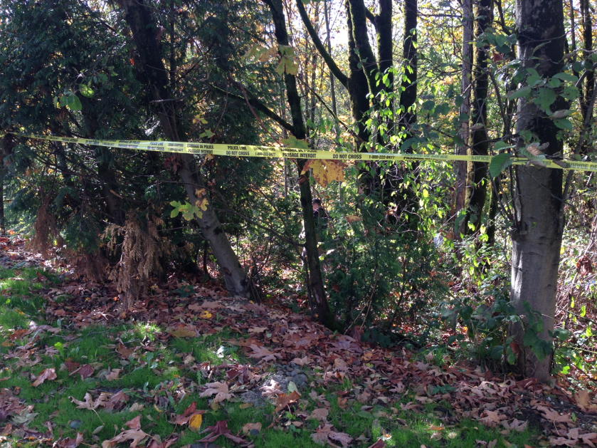 A body was found in a ravine in Burnaby.