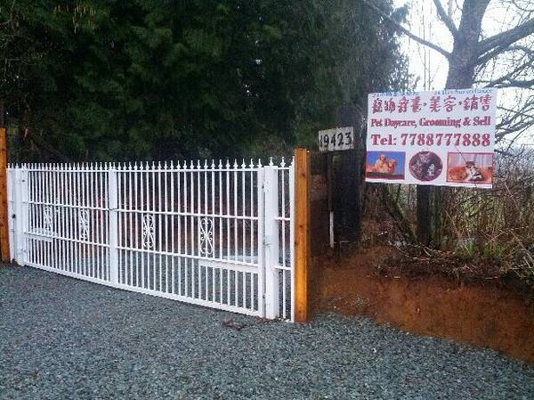 A photo featured in a Craigslist post is suggesting Ivy Zhou might be back in business. 