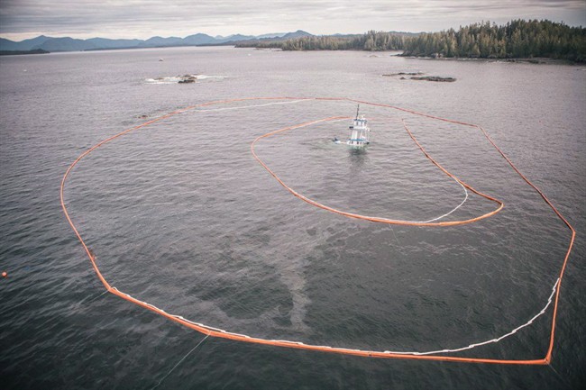 The Nathan E. Stewart is seen surrounded by booms after sinking near Bella Bella. 