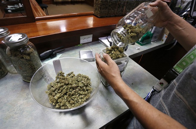 An employee places marijuana for sale into glass containers at The Station, a retail and medical cannabis dispensary, in Boulder, Colo., Thursday, Aug. 11, 2016.