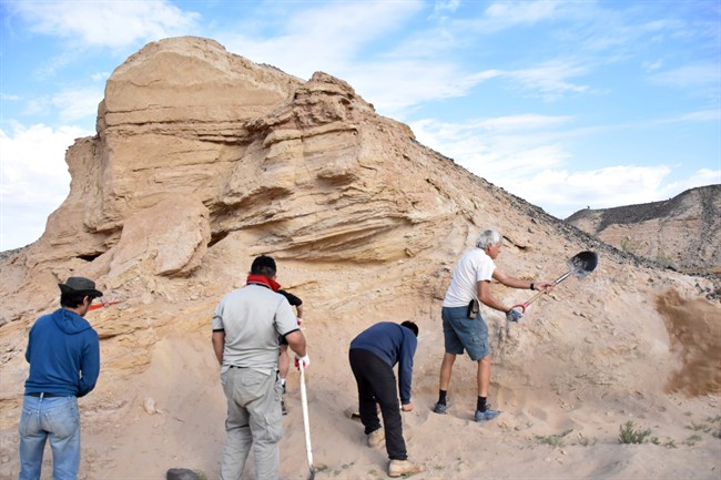 Phil Currie, right, and some of the Mongolian crew working on the site in Mongolia in this undated handout image provided by the University of Alberta. A ancient bone bed in a remote Mongolian desert presents tantalizing clues that dinosaurs of a feather may flocked together for the same reasons modern birds do.