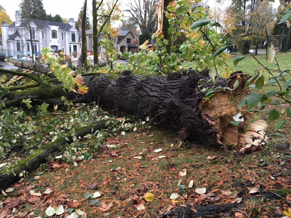 Photo by David Wheeler