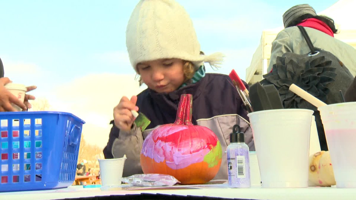 Hundreds of Calgarians introduced to new Enmax Park at Community Fall Fair - image