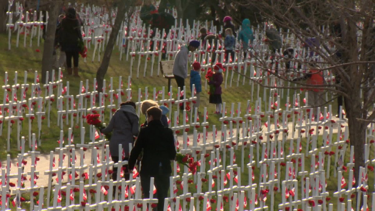 Volunteers gather to display 3,200 Field of Crosses along Memorial Drive in Calgary - image