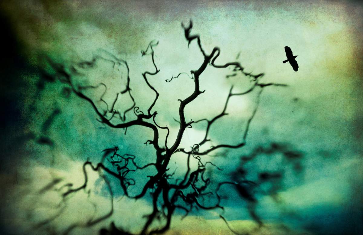 Can bugs live in your brain? Has someone ever had their kidney stolen? Sometimes, urban legends aren't legends at all.