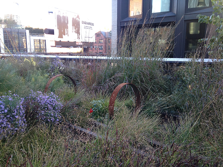 Planning to visit NYC this fall? Here are 4 things to do - image