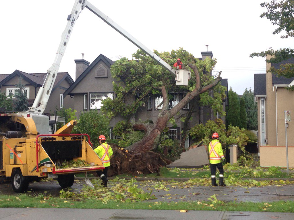 Photo by Jill Bennett