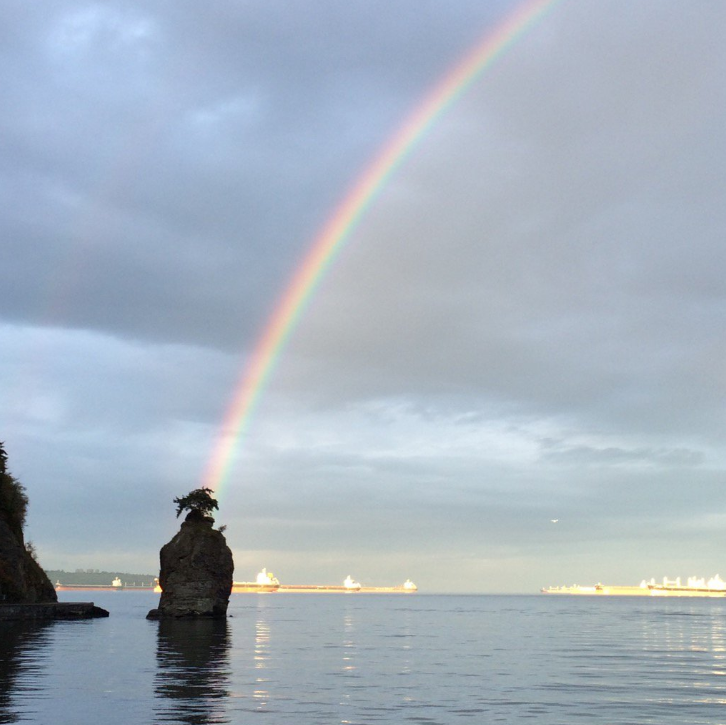 John Steil / Twitter