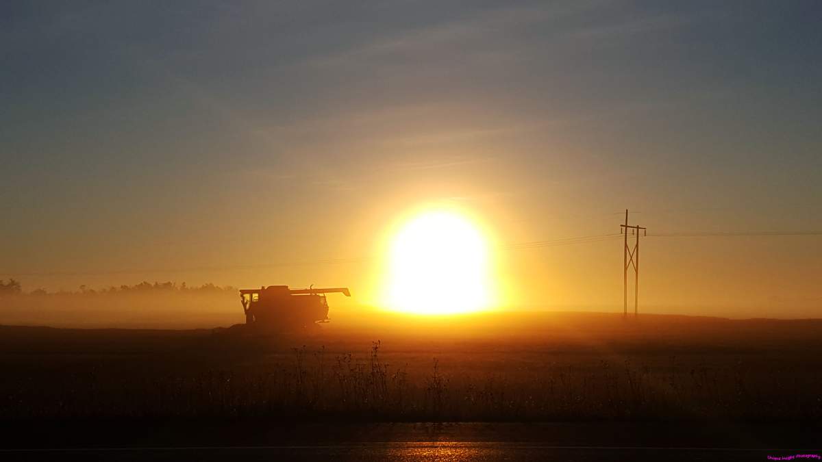 Oct. 25: This harvest Your Saskatchewan photo was taken Kitiara Martens.