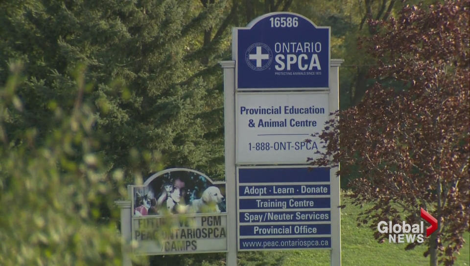 File photo of the Ontario SPCA.