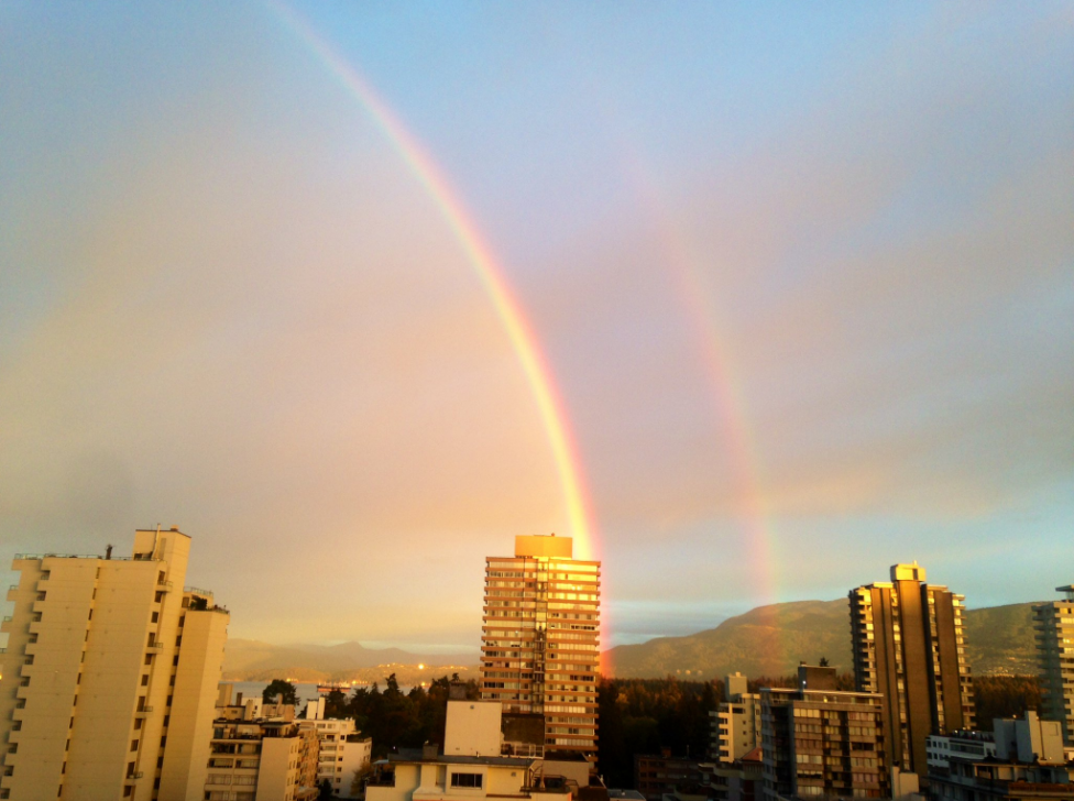 Pamela Post / Twitter