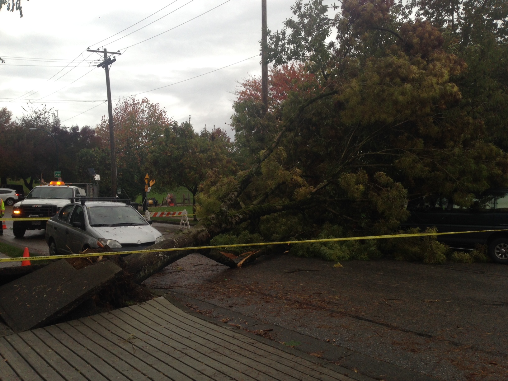 PHOTOS, VIDEO: Wild Wind And Rain Leave Destruction Across B.C. South ...