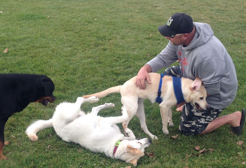 Buying your pet license limited to city locations.