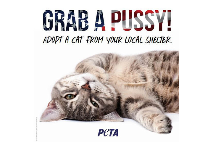 The ad features a cat lying on its back with the words “GRAB A PUSSY! Adopt a cat from your local shelter,” printed above the feline.