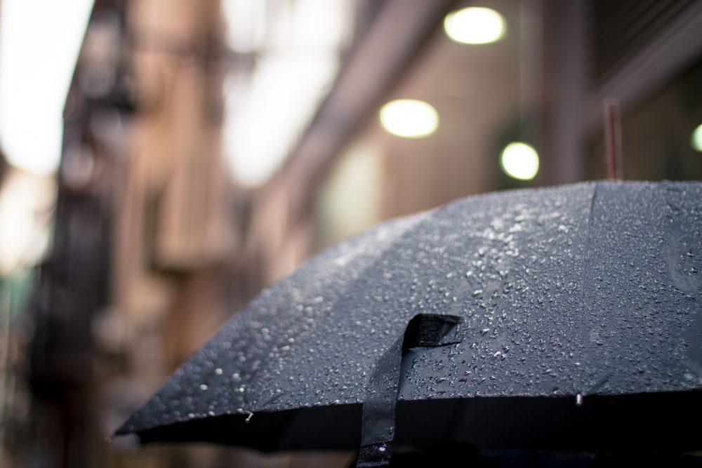 High winds and heavy rain expected for B.C. South Coast Thursday night - image