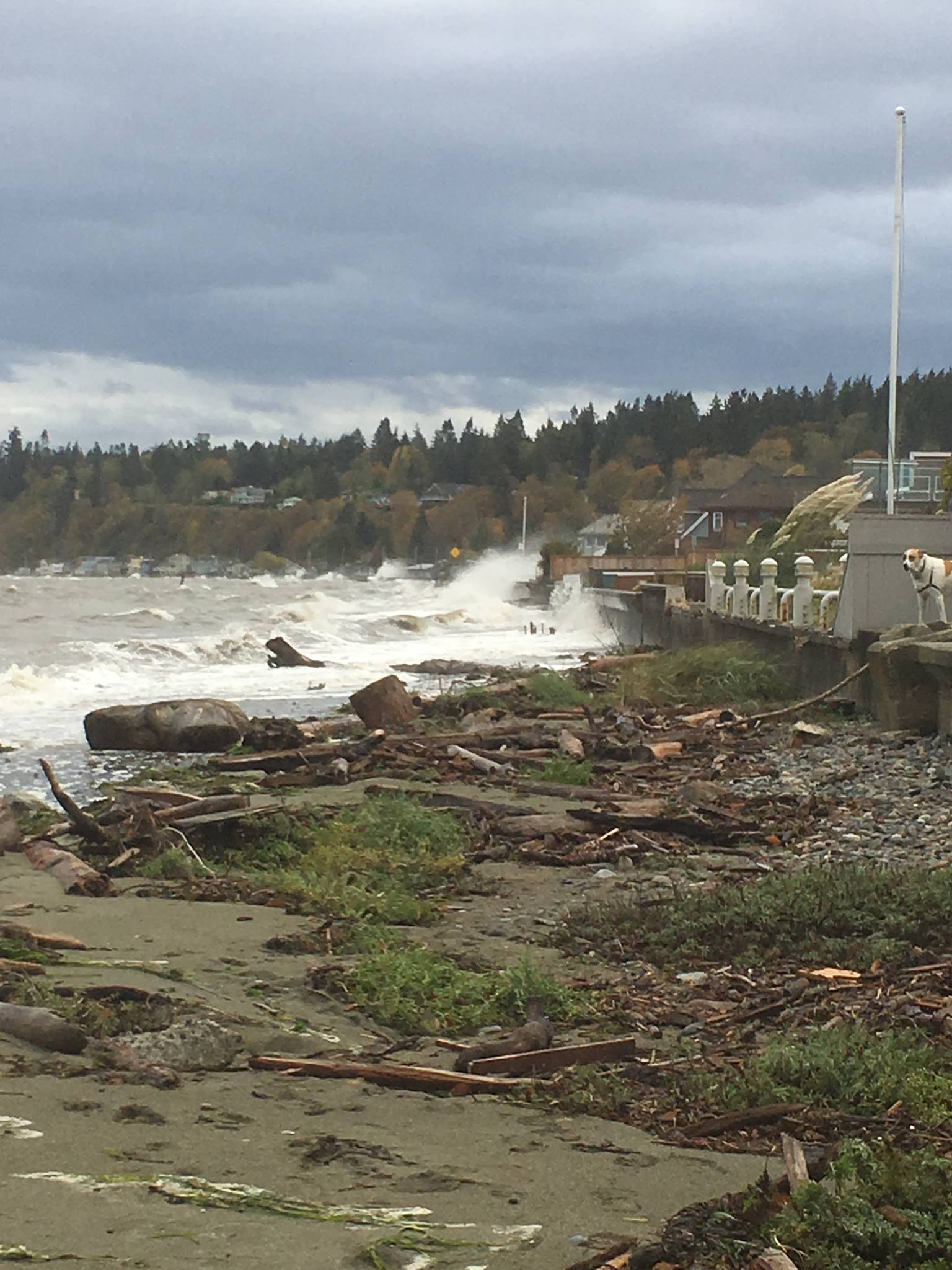 PHOTOS, VIDEO: Heavy Wind And Rain Hit B.C.’s South Coast In Third Of ...