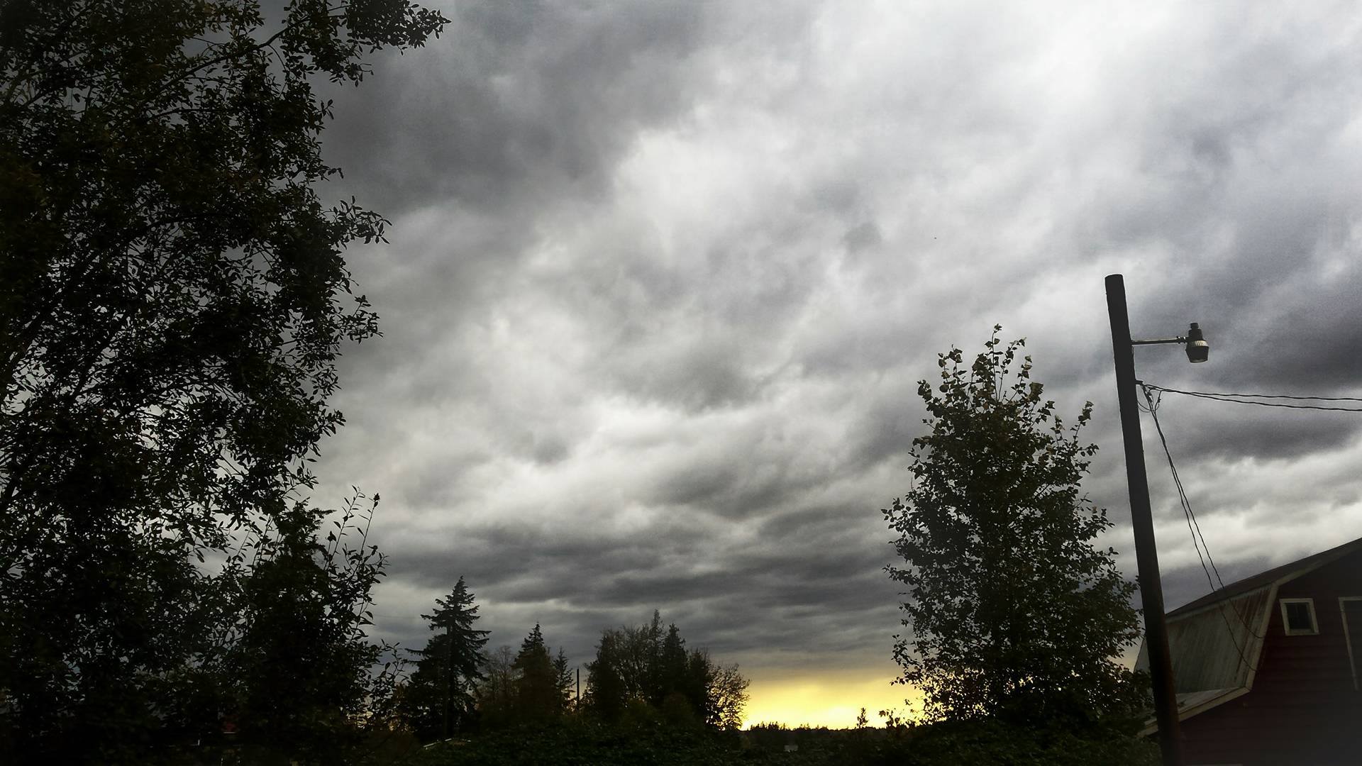 PHOTOS, VIDEO: Heavy Wind And Rain Hit B.C.’s South Coast In Third Of ...