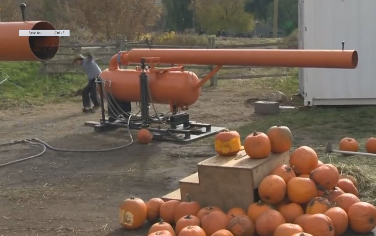 The Great Pumpkin Cannon - image