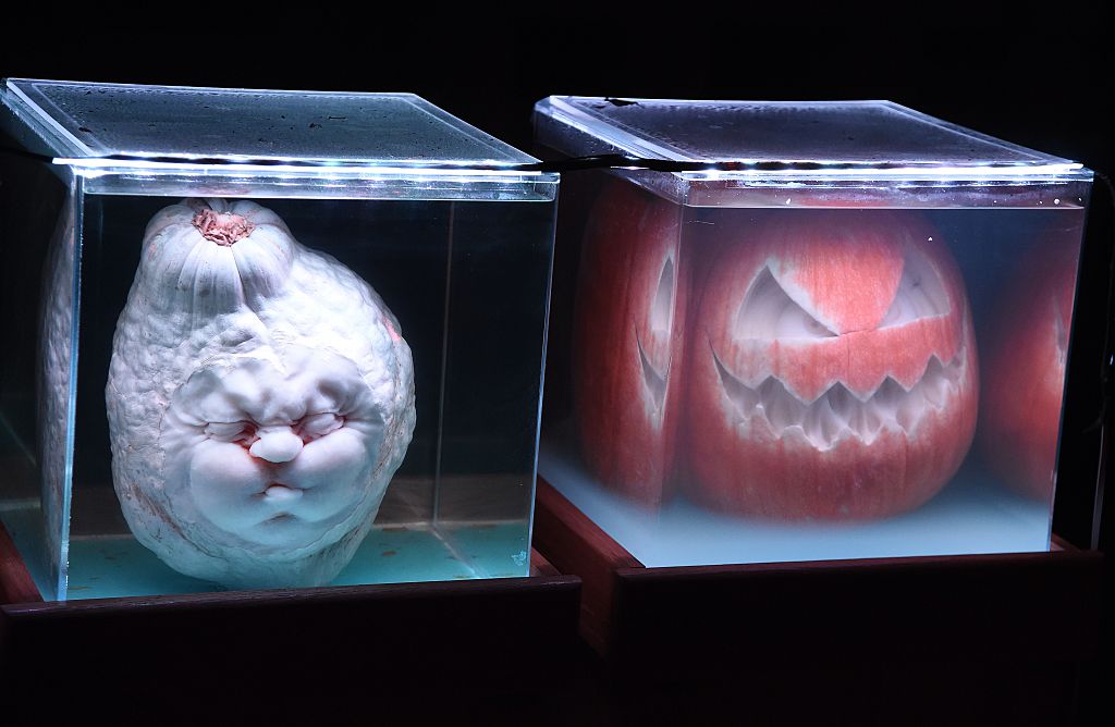 Unique pumpkin display ideas for Halloween - image