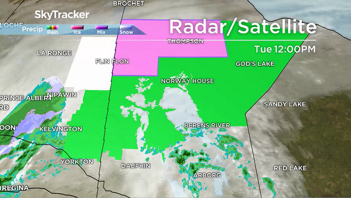 Overnight rainfall produces soggy southwestern Manitoba - image