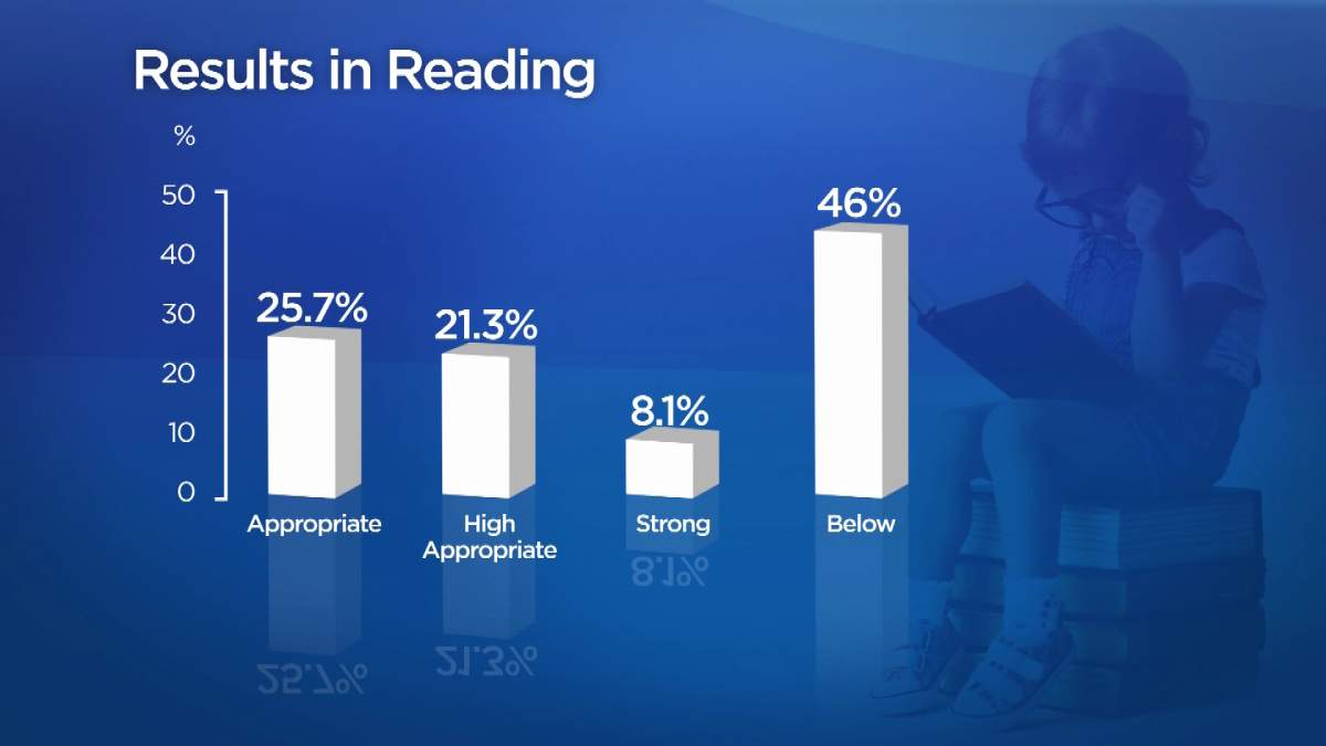Literacy levels in New Brunswick middle schools not making the grade - image
