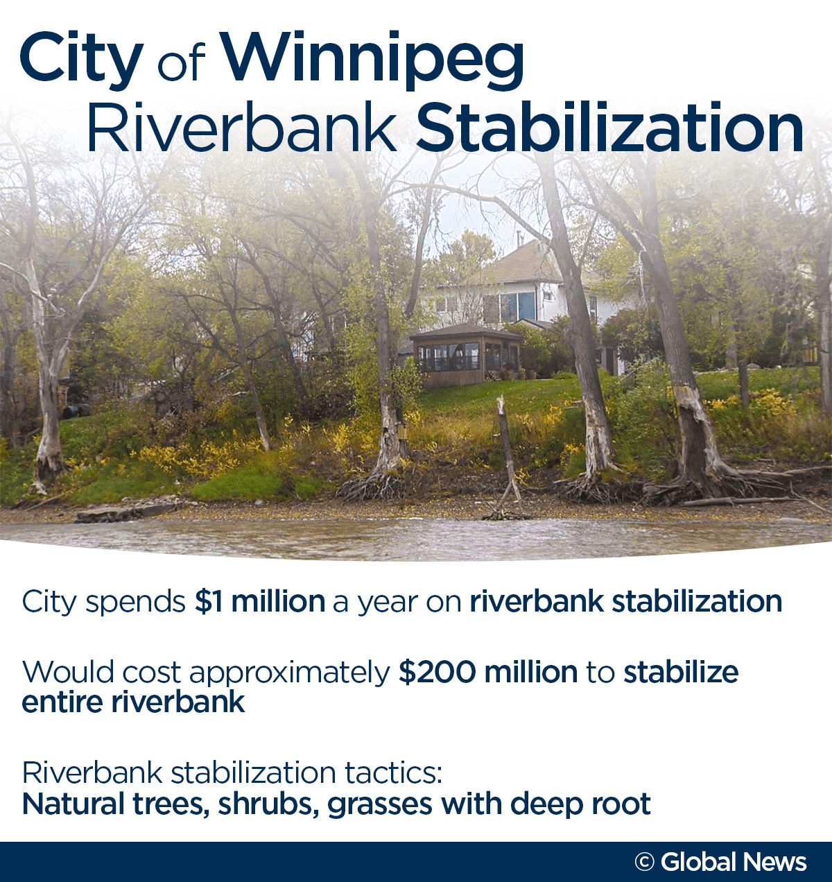 Eroding riverbank: Winnipeg couple watches land disappear before their eyes - image