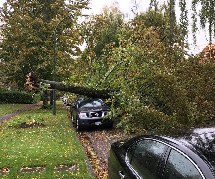 Photo by Ryan Mazin / Twitter