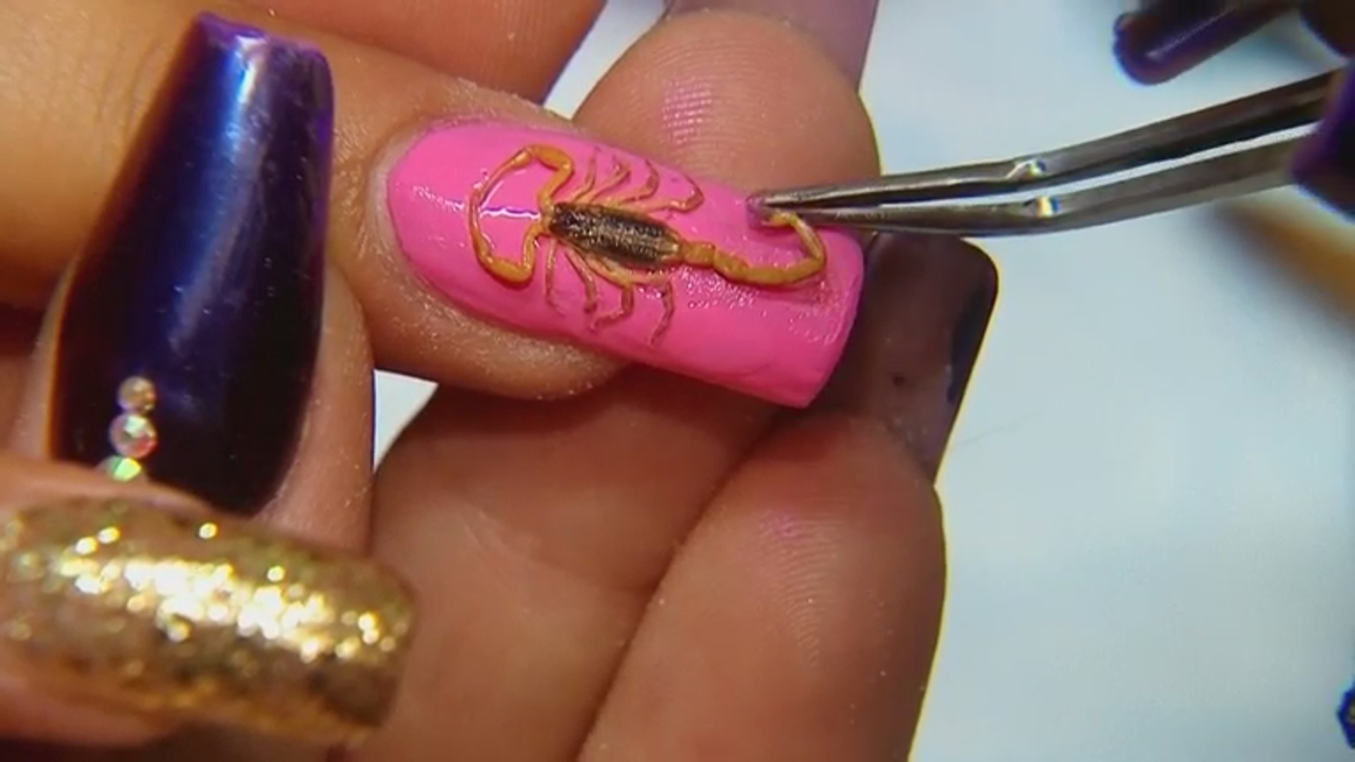 Women glue scorpions to nails in new beauty trend - National | Globalnews.ca