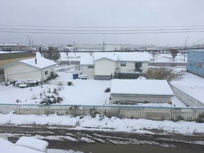 LaNort Mystic / Twitter