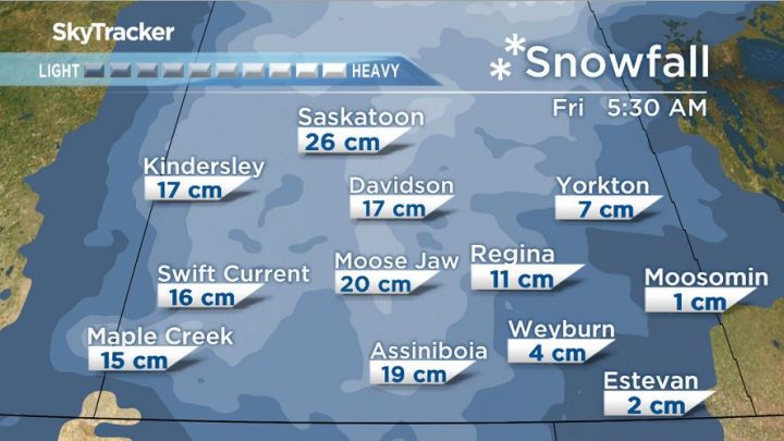 The snow started to fall in Regina early Wednesday morning, with most areas in southwestern Saskatchewan under a snowfall warning
