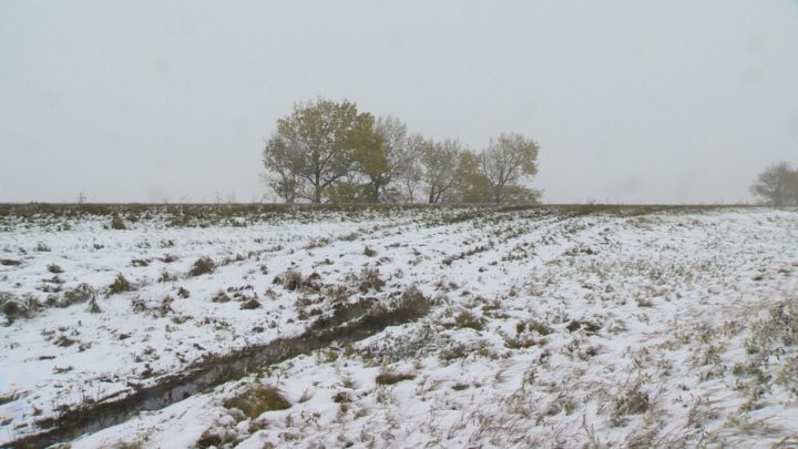 A field is covered with snow outside of Regina on Oct. 5, after a snowstorm hit many parts of the province. 
