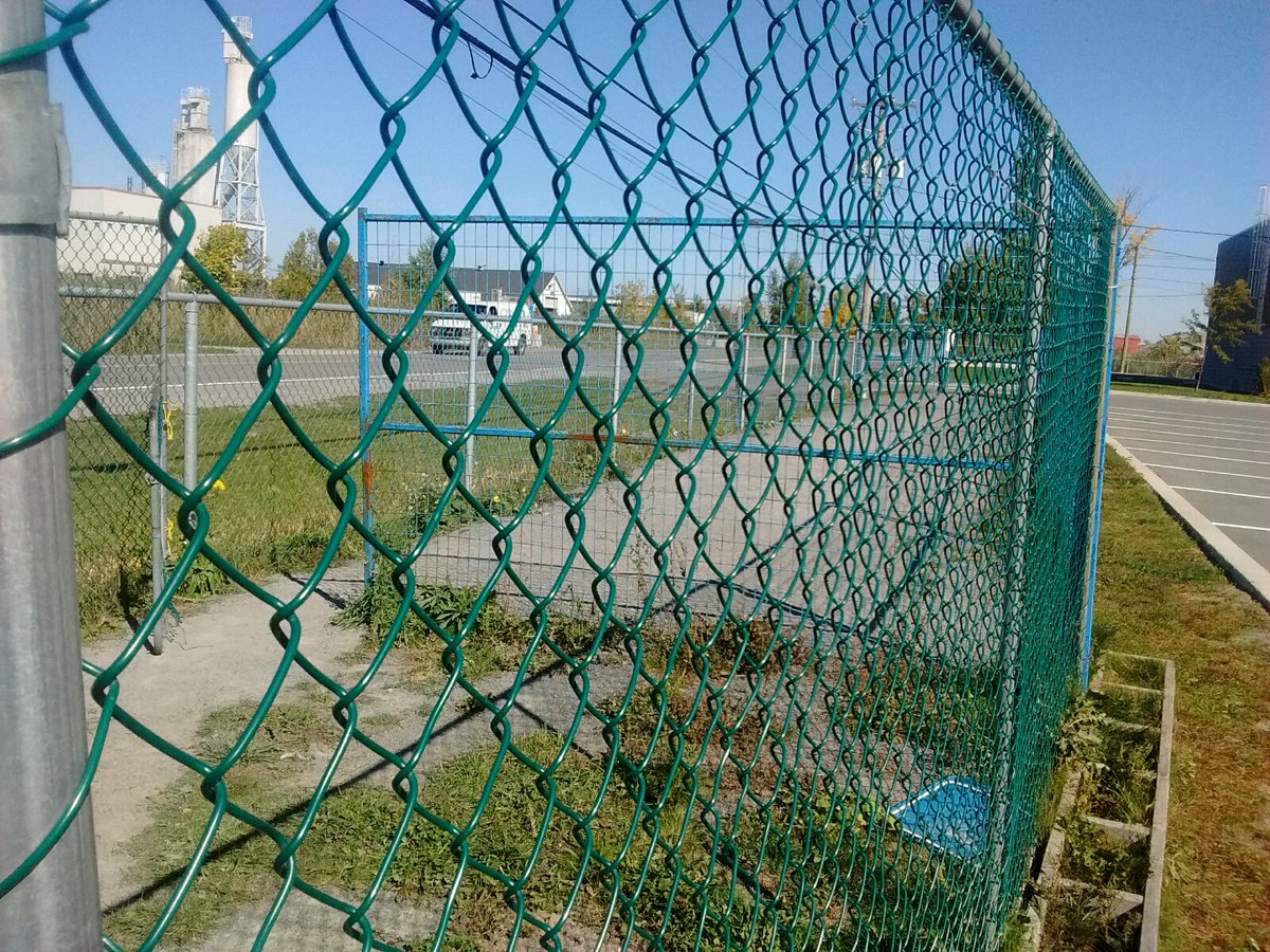 The dog run behind the SPCA has to move, change or be reclassified. Oct. 4, 2016.