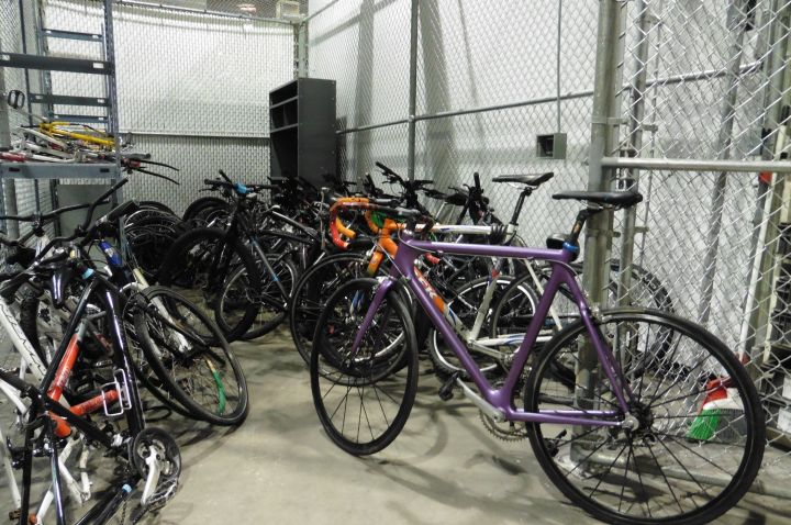 Edmonton police are searching for the owners of several stolen bikes recovered from a north Edmonton property in late September. 