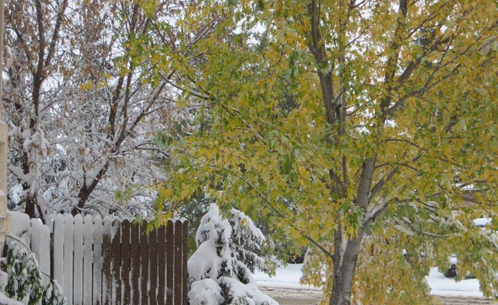 Oct. 9: This Your Saskatchewan photo was taken by Carol Langenberger in Dalmeny.