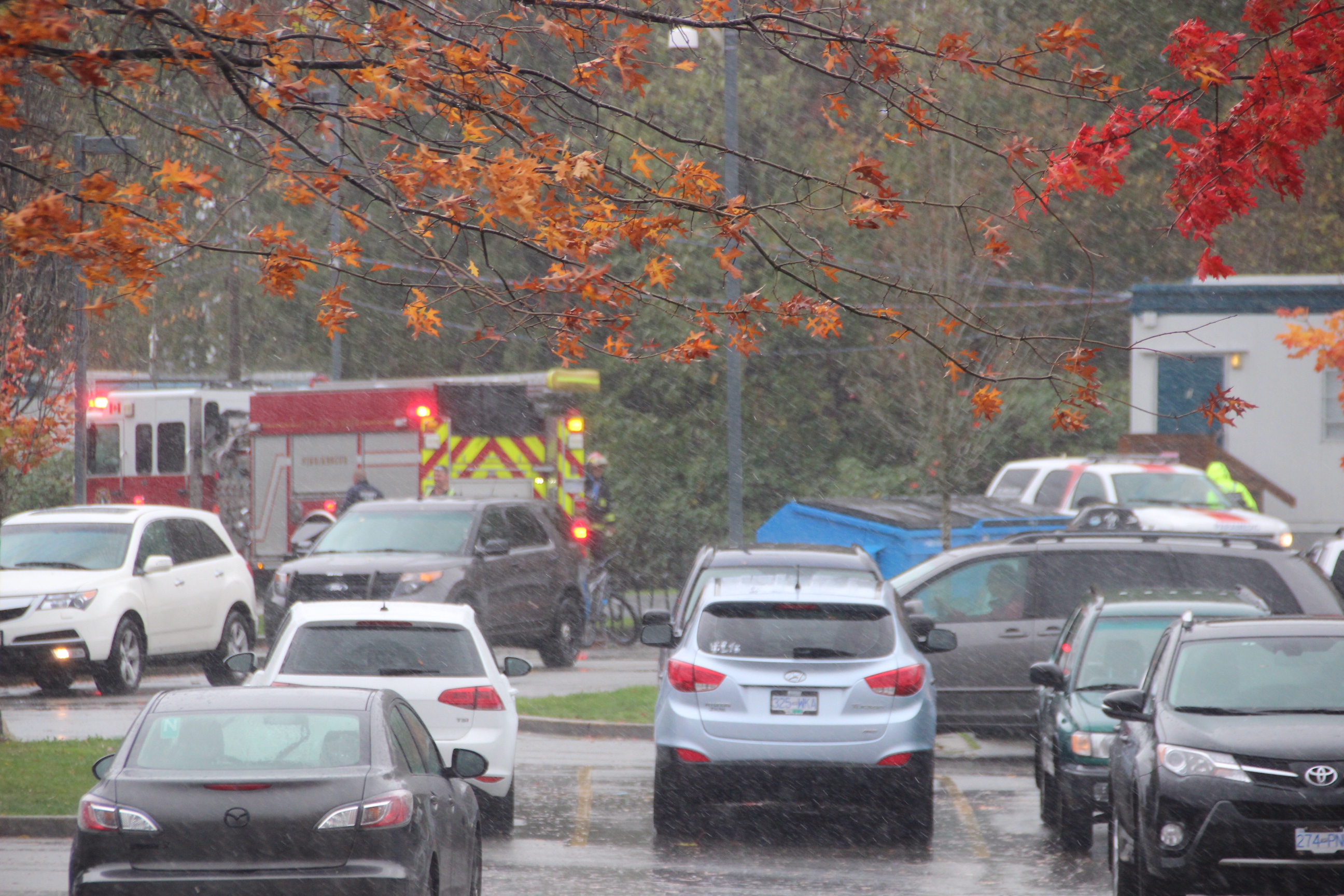 Storm Moving Across Southern B.C. Knocks Out Power, Downs Trees - BC ...